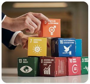 bæredygtigheds-tjek