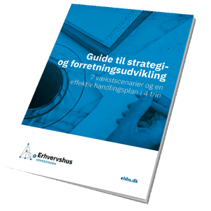 ebog-strategi1